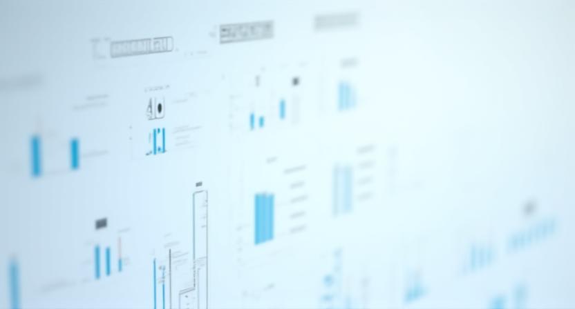 Detailed view of the IP management dashboard interface